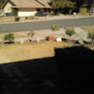 Meet your Posher, Marcia